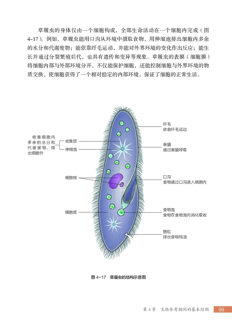 苏科版7年级生物上册高清教材_4-教培资料-26年最新资料-同步更新_初中高中教资_03科三专项（进去保存报考的学科即可）_02科三专项（笔记真题思维导图教学设计版本二）