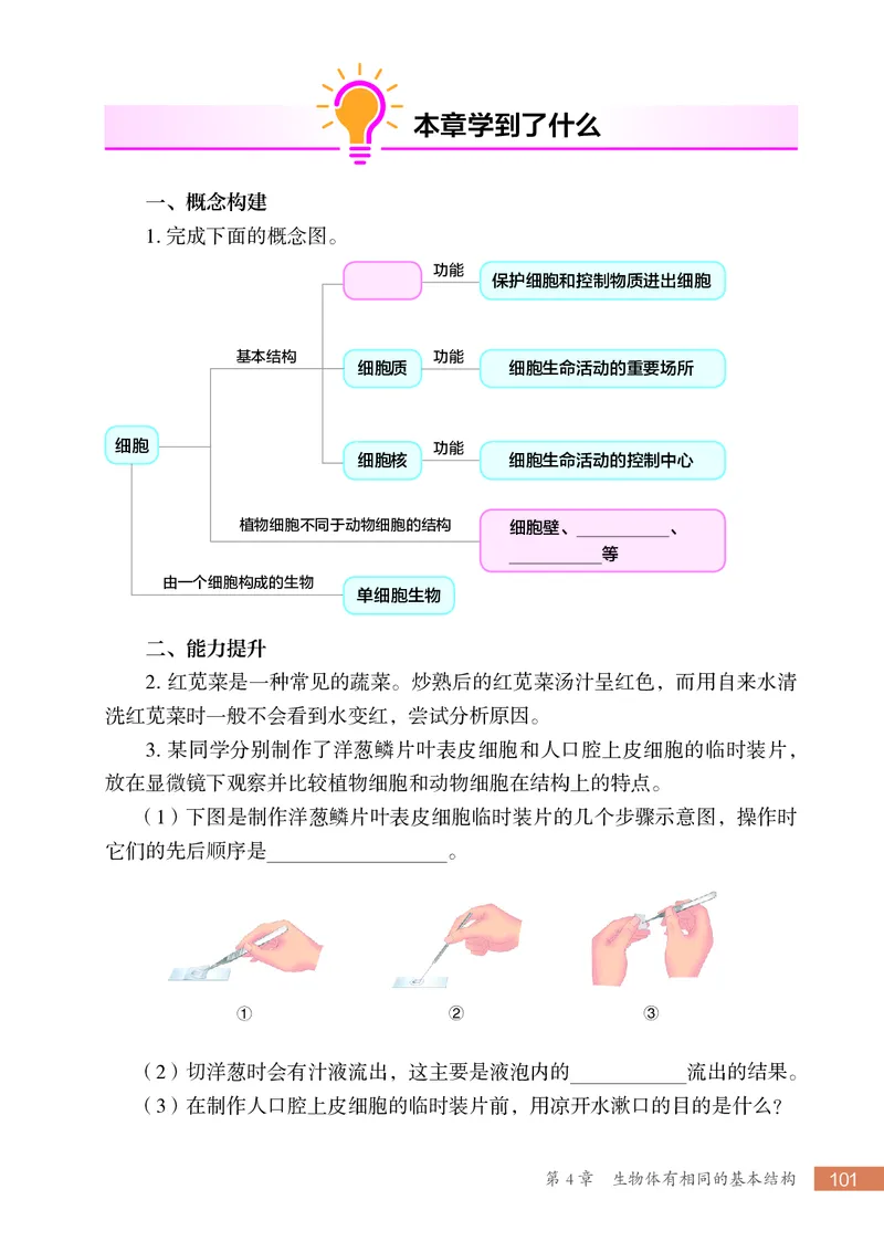 苏科版7年级生物上册高清教材_4-教培资料-26年最新资料-同步更新_初中高中教资_03科三专项（进去保存报考的学科即可）_02科三专项（笔记真题思维导图教学设计版本二）