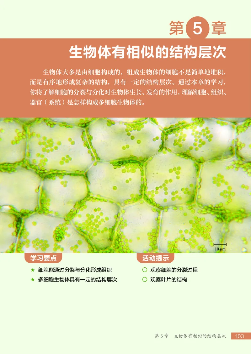 苏科版7年级生物上册高清教材_4-教培资料-26年最新资料-同步更新_初中高中教资_03科三专项（进去保存报考的学科即可）_02科三专项（笔记真题思维导图教学设计版本二）