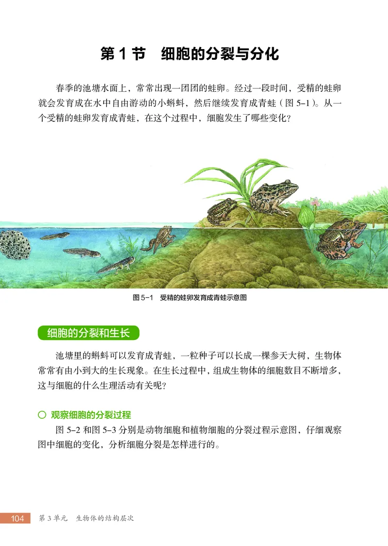 苏科版7年级生物上册高清教材_4-教培资料-26年最新资料-同步更新_初中高中教资_03科三专项（进去保存报考的学科即可）_02科三专项（笔记真题思维导图教学设计版本二）