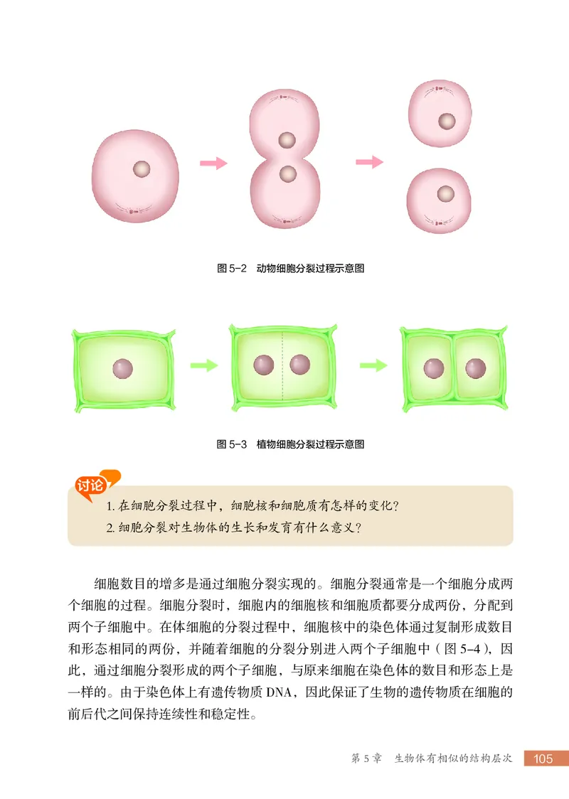 苏科版7年级生物上册高清教材_4-教培资料-26年最新资料-同步更新_初中高中教资_03科三专项（进去保存报考的学科即可）_02科三专项（笔记真题思维导图教学设计版本二）