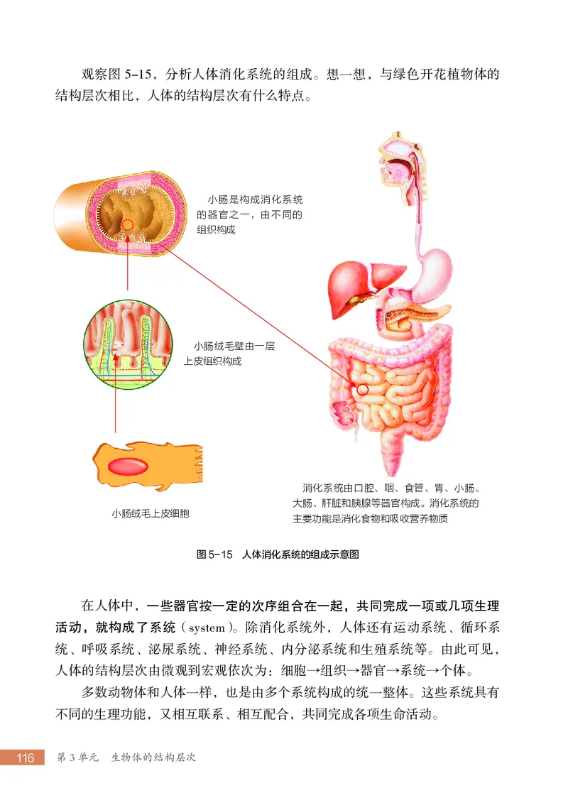 苏科版7年级生物上册高清教材_4-教培资料-26年最新资料-同步更新_初中高中教资_03科三专项（进去保存报考的学科即可）_02科三专项（笔记真题思维导图教学设计版本二）