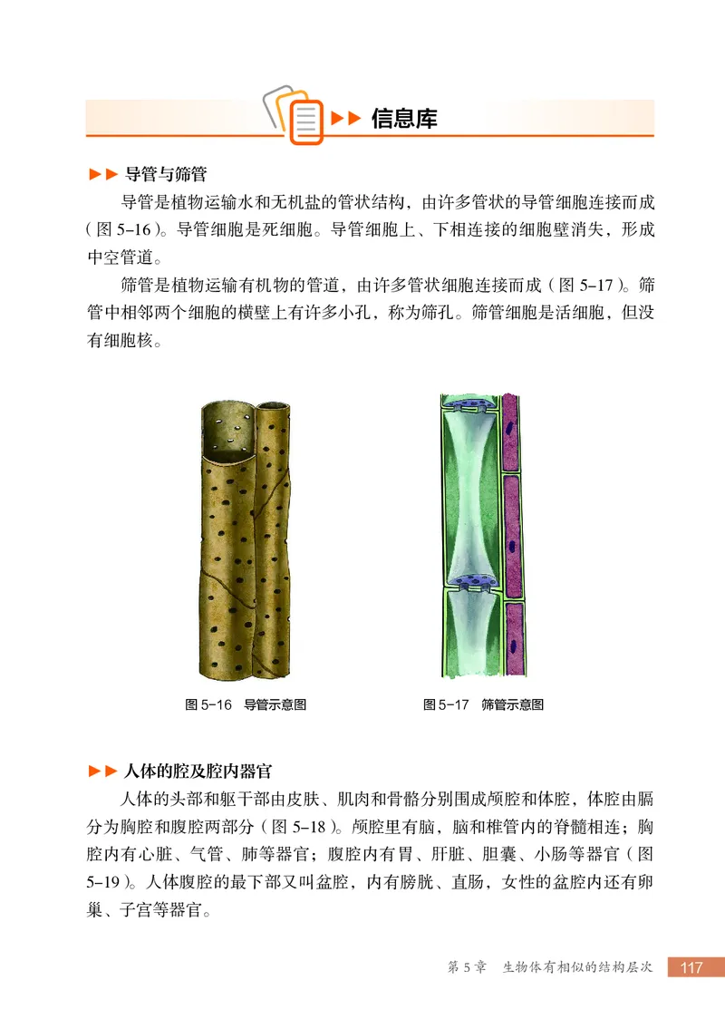 苏科版7年级生物上册高清教材_4-教培资料-26年最新资料-同步更新_初中高中教资_03科三专项（进去保存报考的学科即可）_02科三专项（笔记真题思维导图教学设计版本二）