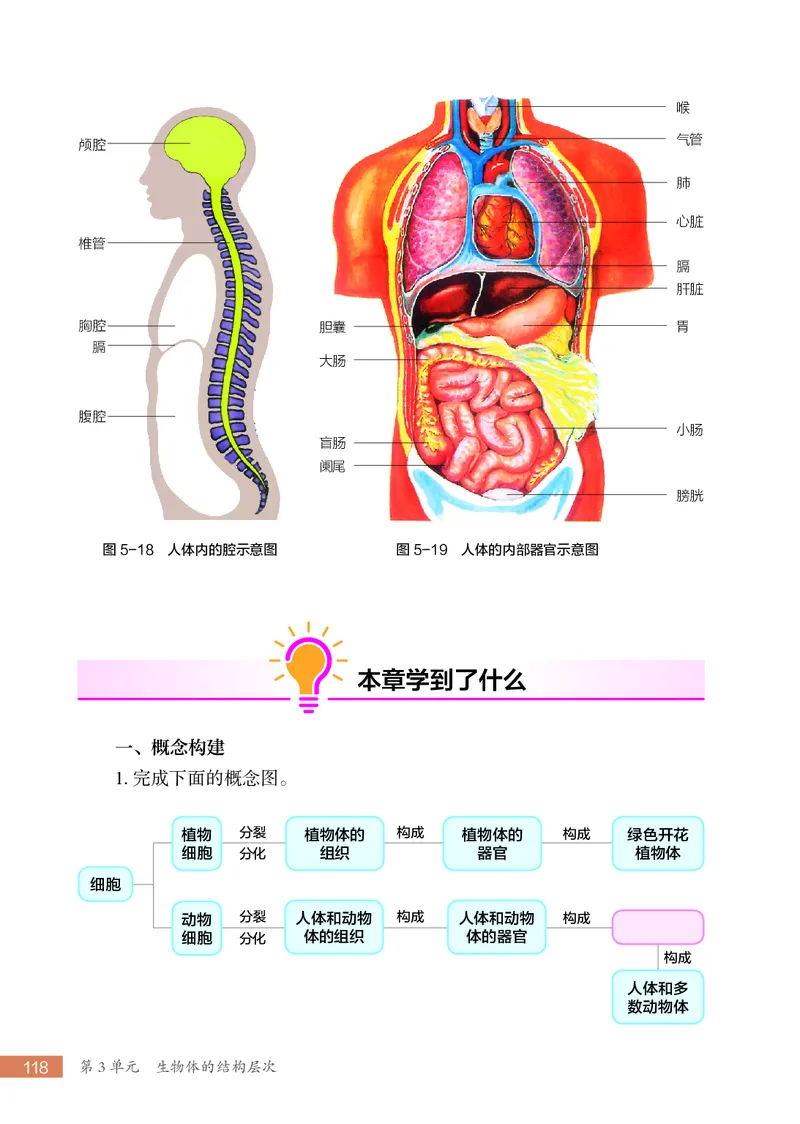 苏科版7年级生物上册高清教材_4-教培资料-26年最新资料-同步更新_初中高中教资_03科三专项（进去保存报考的学科即可）_02科三专项（笔记真题思维导图教学设计版本二）