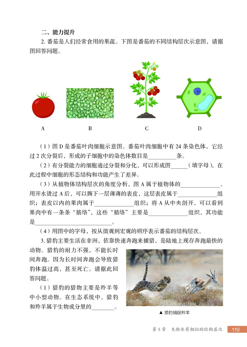 苏科版7年级生物上册高清教材_4-教培资料-26年最新资料-同步更新_初中高中教资_03科三专项（进去保存报考的学科即可）_02科三专项（笔记真题思维导图教学设计版本二）