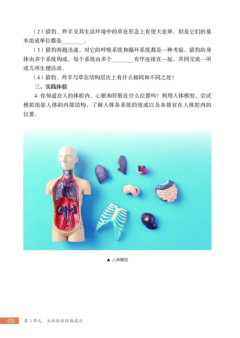 苏科版7年级生物上册高清教材_4-教培资料-26年最新资料-同步更新_初中高中教资_03科三专项（进去保存报考的学科即可）_02科三专项（笔记真题思维导图教学设计版本二）