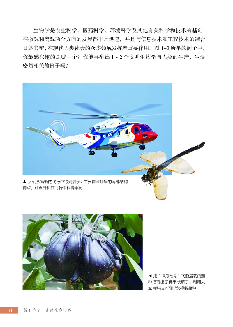 苏科版7年级生物上册高清教材_4-教培资料-26年最新资料-同步更新_初中高中教资_03科三专项（进去保存报考的学科即可）_02科三专项（笔记真题思维导图教学设计版本二）