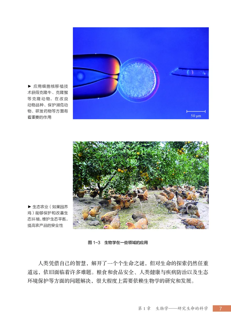 苏科版7年级生物上册高清教材_4-教培资料-26年最新资料-同步更新_初中高中教资_03科三专项（进去保存报考的学科即可）_02科三专项（笔记真题思维导图教学设计版本二）