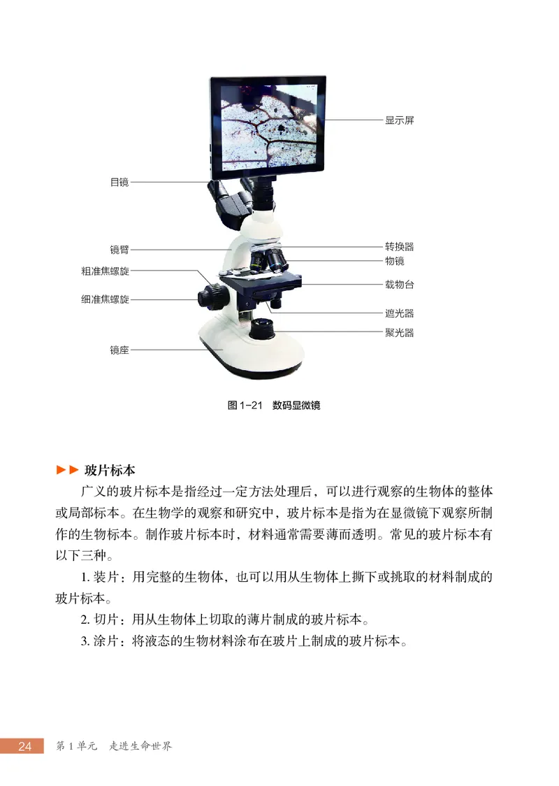 苏科版7年级生物上册高清教材_4-教培资料-26年最新资料-同步更新_初中高中教资_03科三专项（进去保存报考的学科即可）_02科三专项（笔记真题思维导图教学设计版本二）