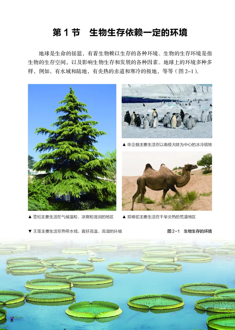 苏科版7年级生物上册高清教材_4-教培资料-26年最新资料-同步更新_初中高中教资_03科三专项（进去保存报考的学科即可）_02科三专项（笔记真题思维导图教学设计版本二）