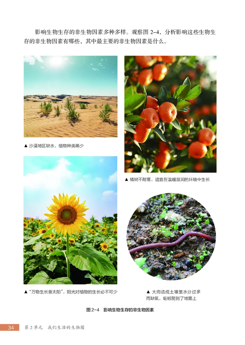 苏科版7年级生物上册高清教材_4-教培资料-26年最新资料-同步更新_初中高中教资_03科三专项（进去保存报考的学科即可）_02科三专项（笔记真题思维导图教学设计版本二）