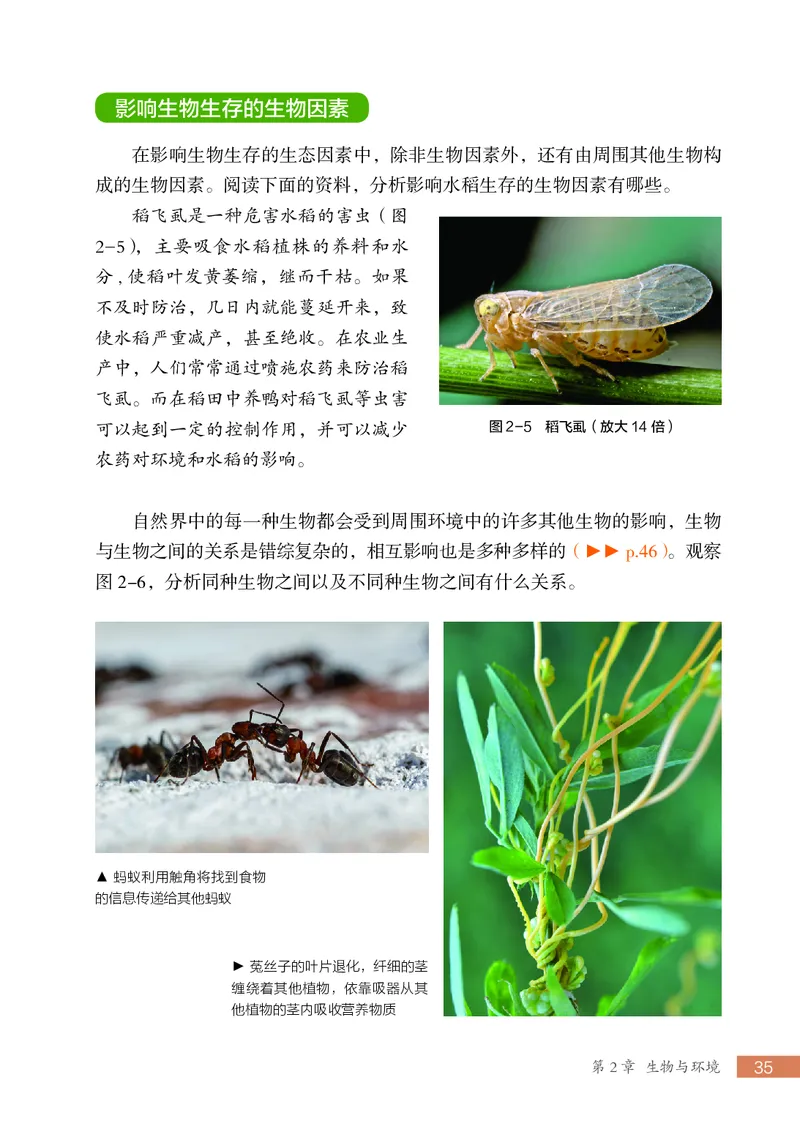 苏科版7年级生物上册高清教材_4-教培资料-26年最新资料-同步更新_初中高中教资_03科三专项（进去保存报考的学科即可）_02科三专项（笔记真题思维导图教学设计版本二）