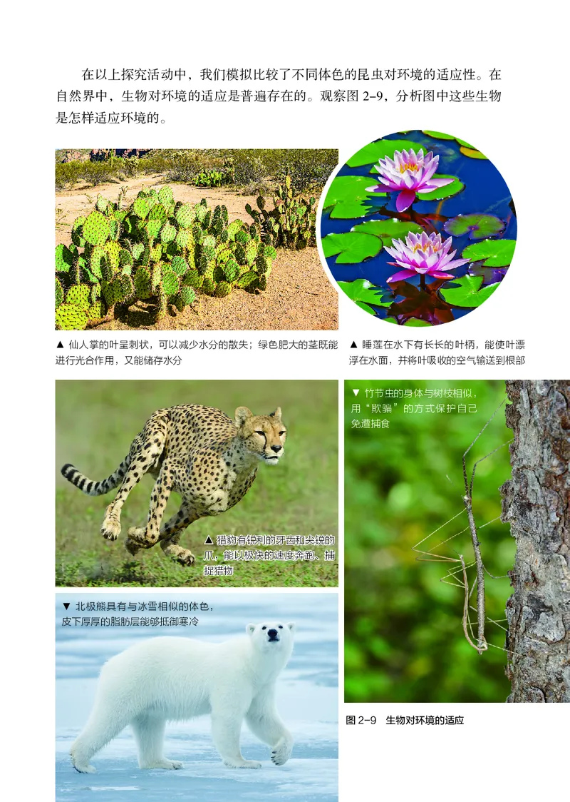 苏科版7年级生物上册高清教材_4-教培资料-26年最新资料-同步更新_初中高中教资_03科三专项（进去保存报考的学科即可）_02科三专项（笔记真题思维导图教学设计版本二）