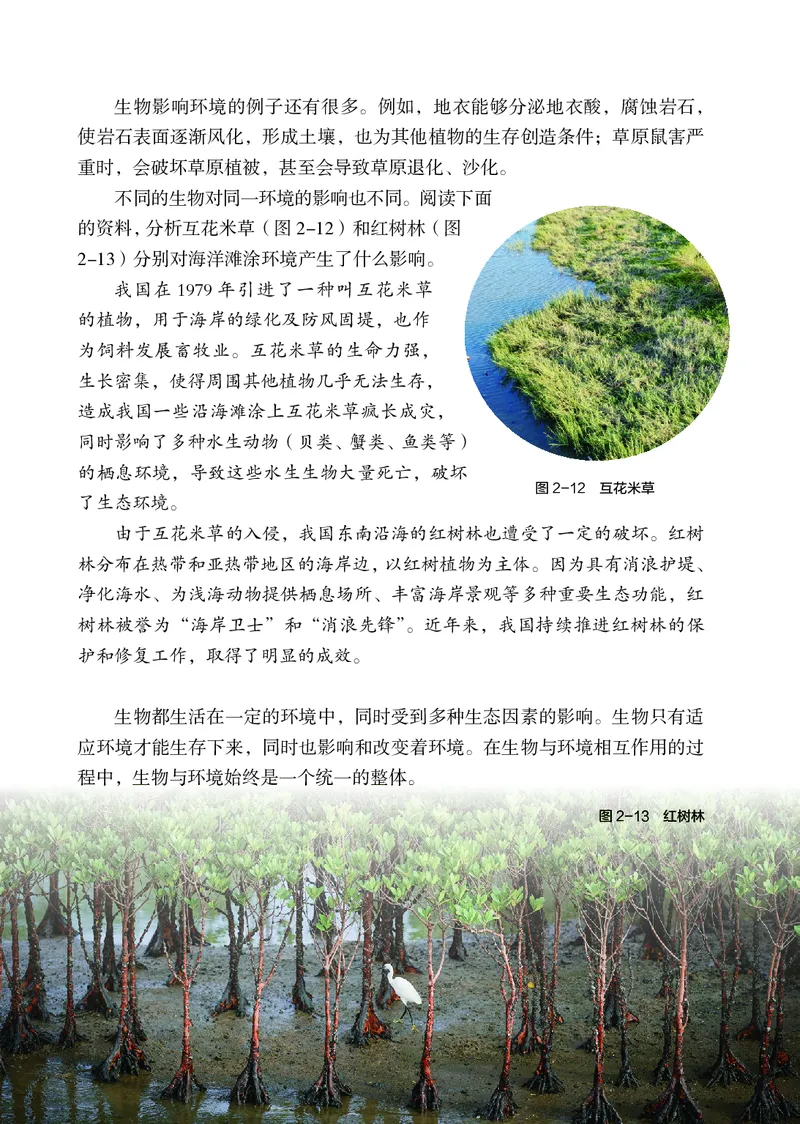 苏科版7年级生物上册高清教材_4-教培资料-26年最新资料-同步更新_初中高中教资_03科三专项（进去保存报考的学科即可）_02科三专项（笔记真题思维导图教学设计版本二）