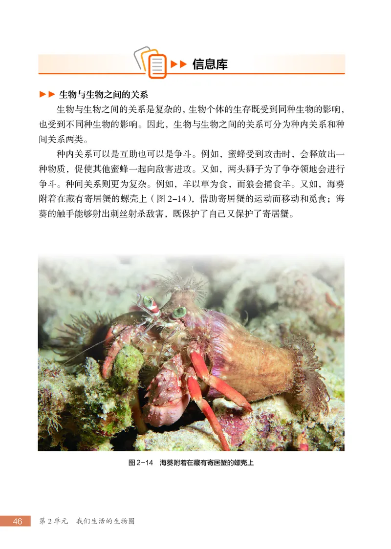 苏科版7年级生物上册高清教材_4-教培资料-26年最新资料-同步更新_初中高中教资_03科三专项（进去保存报考的学科即可）_02科三专项（笔记真题思维导图教学设计版本二）