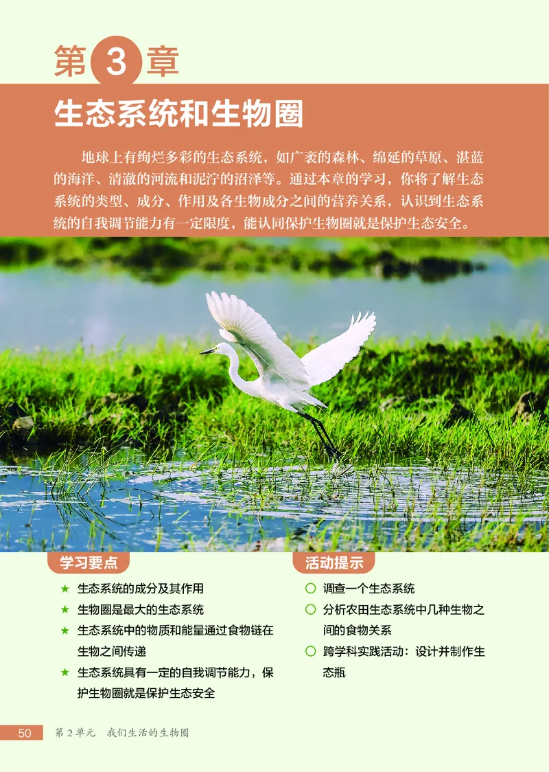 苏科版7年级生物上册高清教材_4-教培资料-26年最新资料-同步更新_初中高中教资_03科三专项（进去保存报考的学科即可）_02科三专项（笔记真题思维导图教学设计版本二）