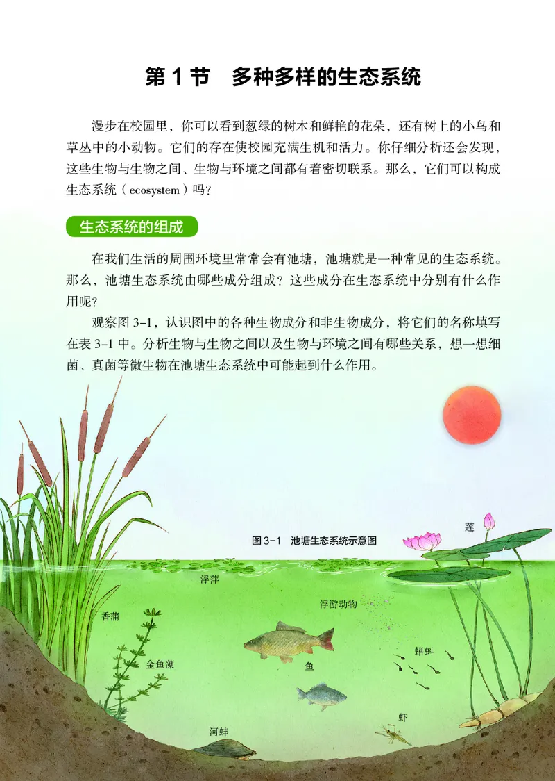 苏科版7年级生物上册高清教材_4-教培资料-26年最新资料-同步更新_初中高中教资_03科三专项（进去保存报考的学科即可）_02科三专项（笔记真题思维导图教学设计版本二）