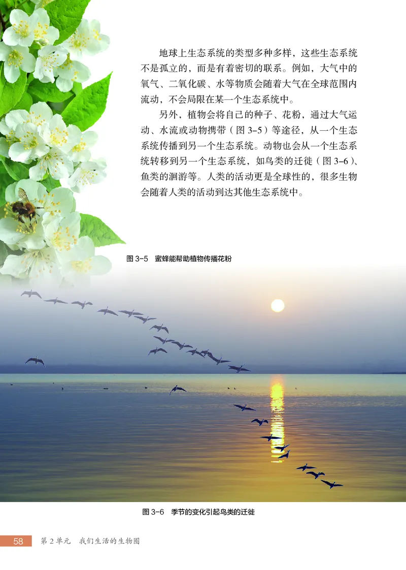 苏科版7年级生物上册高清教材_4-教培资料-26年最新资料-同步更新_初中高中教资_03科三专项（进去保存报考的学科即可）_02科三专项（笔记真题思维导图教学设计版本二）