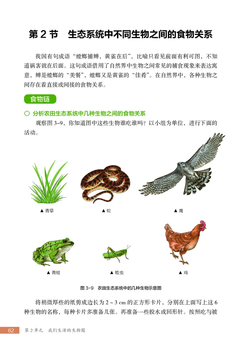苏科版7年级生物上册高清教材_4-教培资料-26年最新资料-同步更新_初中高中教资_03科三专项（进去保存报考的学科即可）_02科三专项（笔记真题思维导图教学设计版本二）