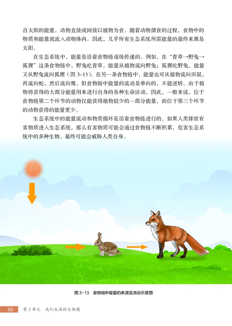 苏科版7年级生物上册高清教材_4-教培资料-26年最新资料-同步更新_初中高中教资_03科三专项（进去保存报考的学科即可）_02科三专项（笔记真题思维导图教学设计版本二）