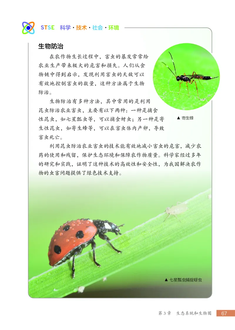 苏科版7年级生物上册高清教材_4-教培资料-26年最新资料-同步更新_初中高中教资_03科三专项（进去保存报考的学科即可）_02科三专项（笔记真题思维导图教学设计版本二）