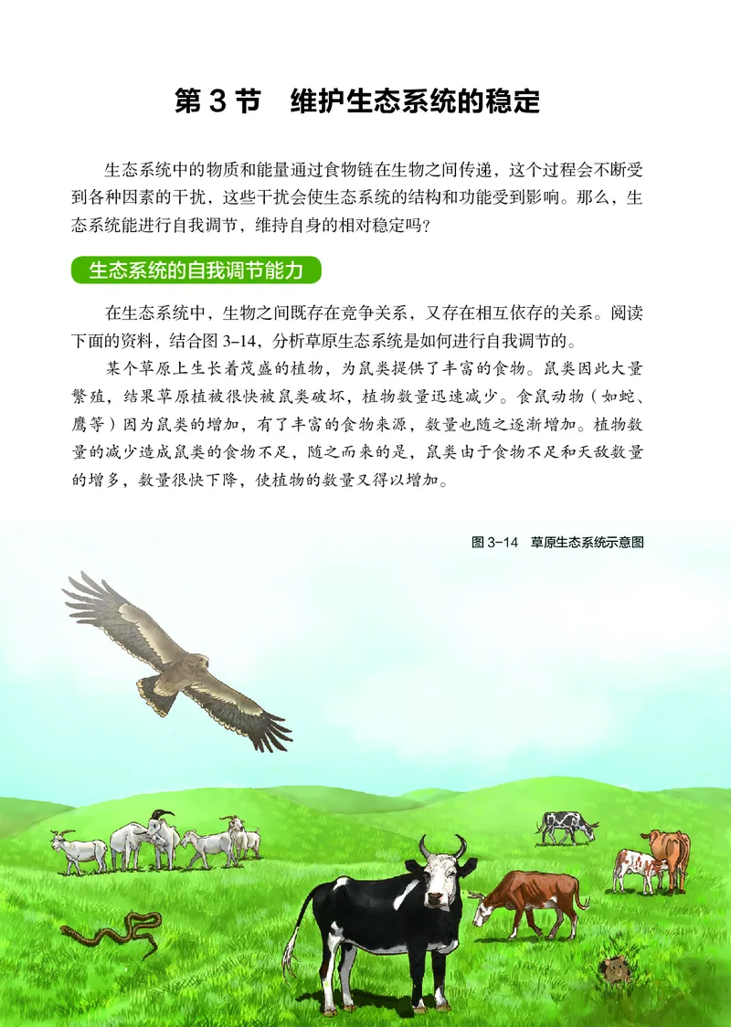 苏科版7年级生物上册高清教材_4-教培资料-26年最新资料-同步更新_初中高中教资_03科三专项（进去保存报考的学科即可）_02科三专项（笔记真题思维导图教学设计版本二）