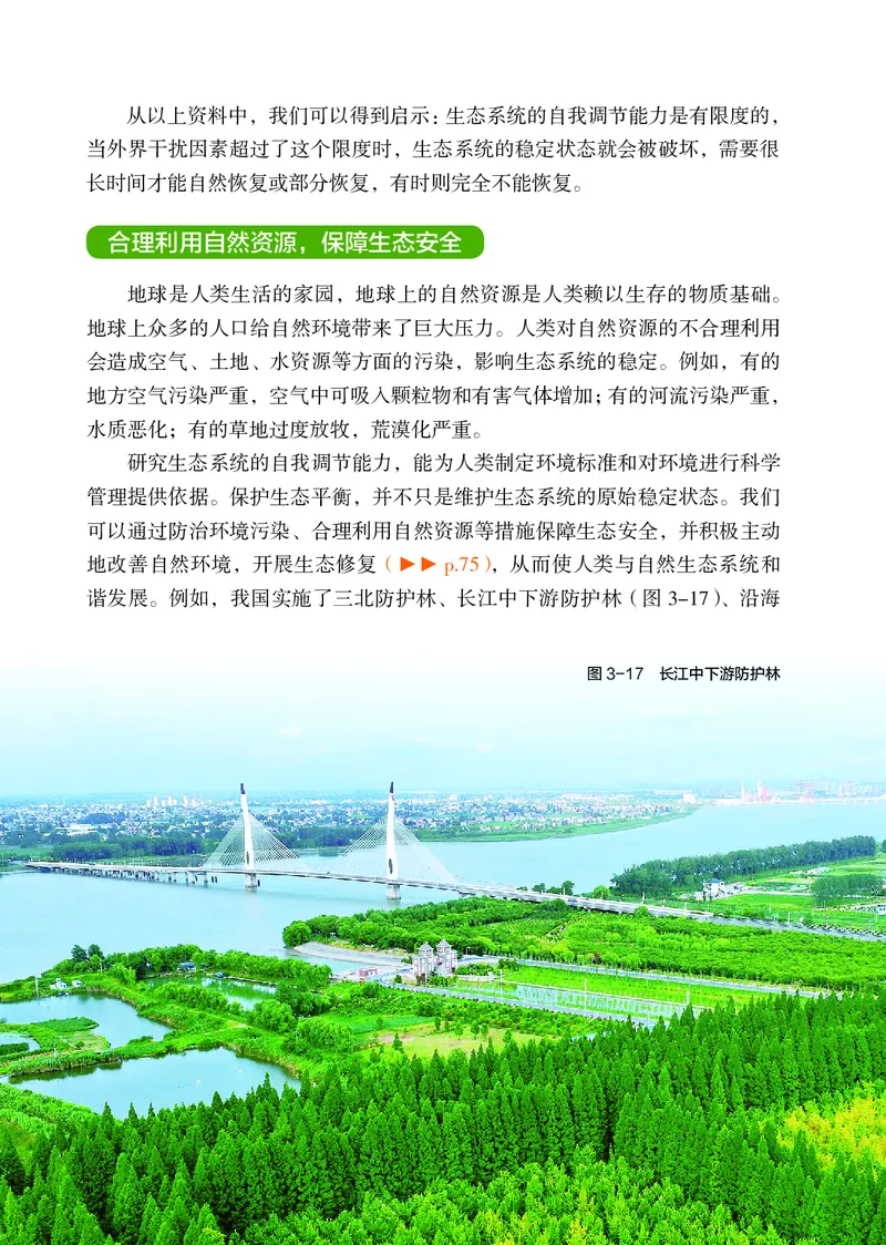 苏科版7年级生物上册高清教材_4-教培资料-26年最新资料-同步更新_初中高中教资_03科三专项（进去保存报考的学科即可）_02科三专项（笔记真题思维导图教学设计版本二）