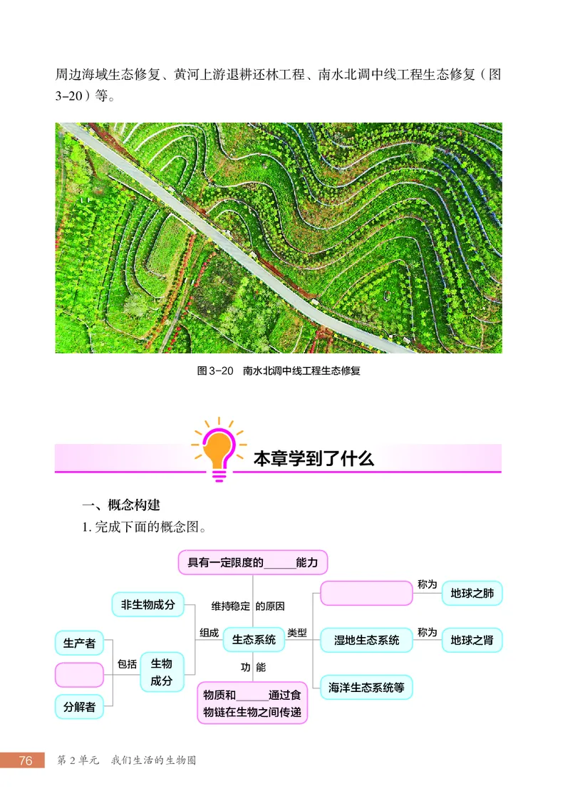 苏科版7年级生物上册高清教材_4-教培资料-26年最新资料-同步更新_初中高中教资_03科三专项（进去保存报考的学科即可）_02科三专项（笔记真题思维导图教学设计版本二）