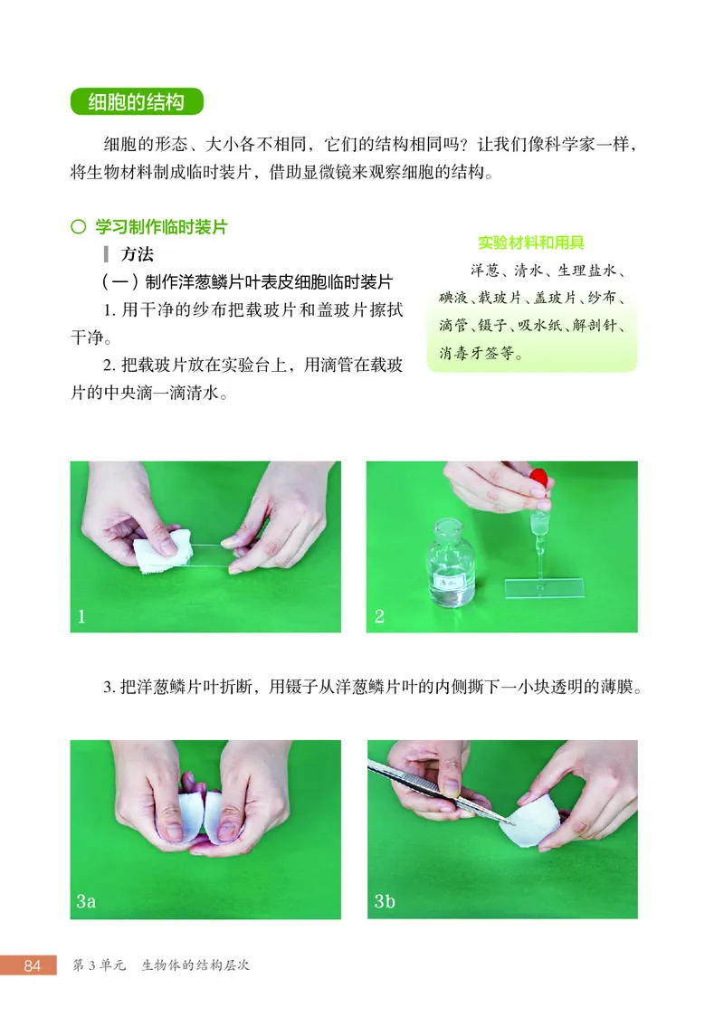苏科版7年级生物上册高清教材_4-教培资料-26年最新资料-同步更新_初中高中教资_03科三专项（进去保存报考的学科即可）_02科三专项（笔记真题思维导图教学设计版本二）