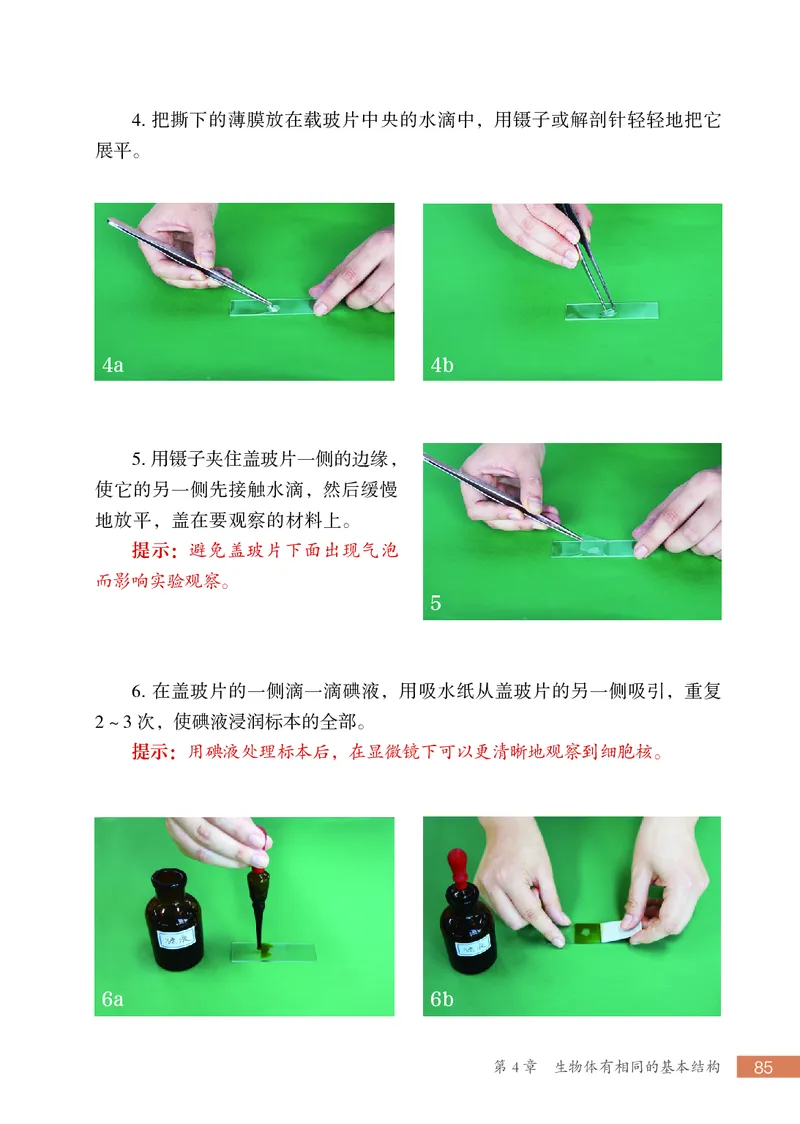 苏科版7年级生物上册高清教材_4-教培资料-26年最新资料-同步更新_初中高中教资_03科三专项（进去保存报考的学科即可）_02科三专项（笔记真题思维导图教学设计版本二）