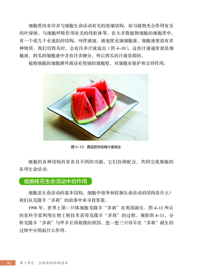 苏科版7年级生物上册高清教材_4-教培资料-26年最新资料-同步更新_初中高中教资_03科三专项（进去保存报考的学科即可）_02科三专项（笔记真题思维导图教学设计版本二）