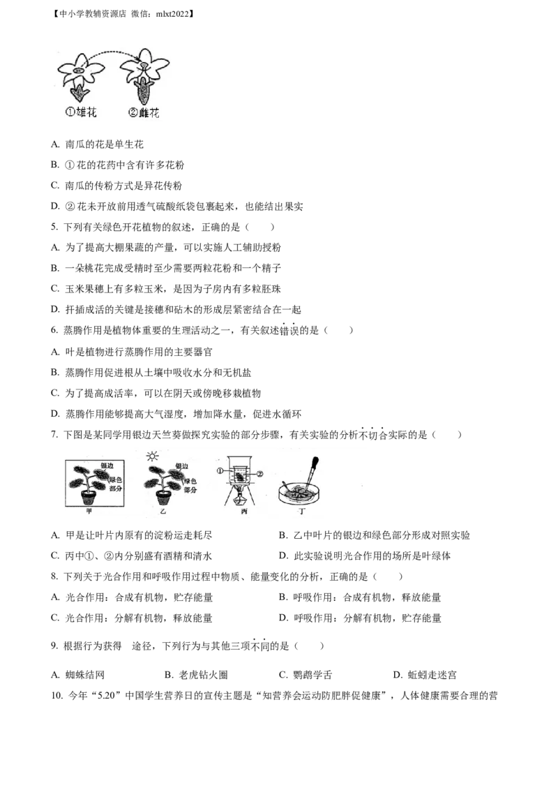 精品解析：2022年山东省滨州市中考生物真题（原卷版）_中考真题_8.生物中考真题2015-2024年_2022年全国中考生物114份14