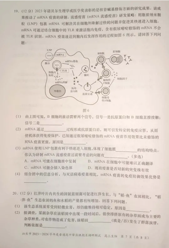 广东省汕头市2024届高三上学期期末考试生物_2024届广东省汕头市高三上学期期末考试