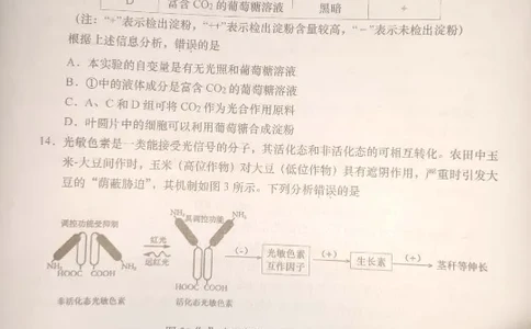 广东省汕头市2024届高三上学期期末考试生物_2024届广东省汕头市高三上学期期末考试