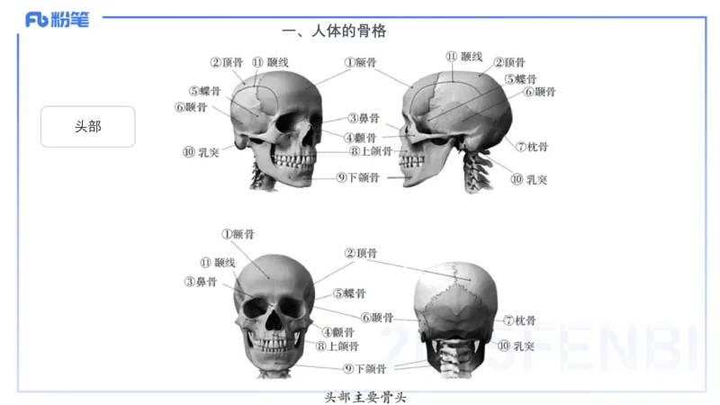 理论精讲15-美术基础知识+艺术概论1_4-教培资料-26年最新资料-同步更新_初中高中教资_03科三专项（进去保存报考的学科即可）_初中_初中美术-通关资料包_3.课程FB系统班课程