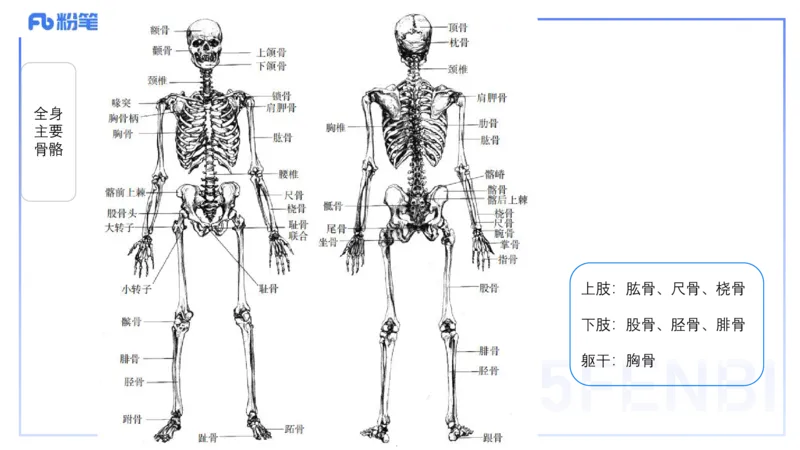 理论精讲15-美术基础知识+艺术概论1_4-教培资料-26年最新资料-同步更新_初中高中教资_03科三专项（进去保存报考的学科即可）_初中_初中美术-通关资料包_3.课程FB系统班课程