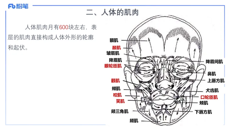 理论精讲15-美术基础知识+艺术概论1_4-教培资料-26年最新资料-同步更新_初中高中教资_03科三专项（进去保存报考的学科即可）_初中_初中美术-通关资料包_3.课程FB系统班课程