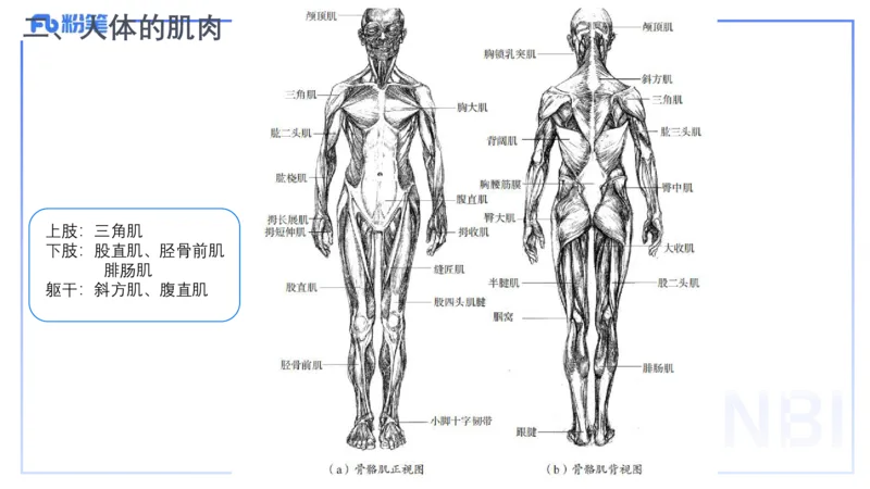 理论精讲15-美术基础知识+艺术概论1_4-教培资料-26年最新资料-同步更新_初中高中教资_03科三专项（进去保存报考的学科即可）_初中_初中美术-通关资料包_3.课程FB系统班课程
