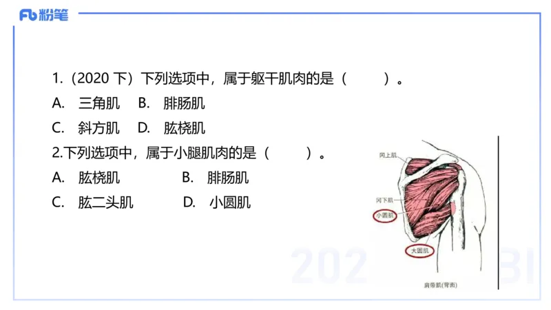 理论精讲15-美术基础知识+艺术概论1_4-教培资料-26年最新资料-同步更新_初中高中教资_03科三专项（进去保存报考的学科即可）_初中_初中美术-通关资料包_3.课程FB系统班课程