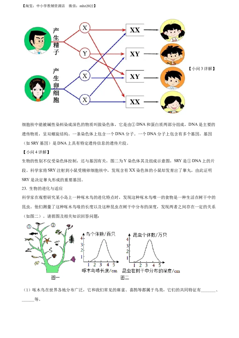 精品解析：2022年山西省太原市学业水平测试生物真题（解析版）_中考真题_8.生物中考真题2015-2024年_2022年全国中考生物114份14
