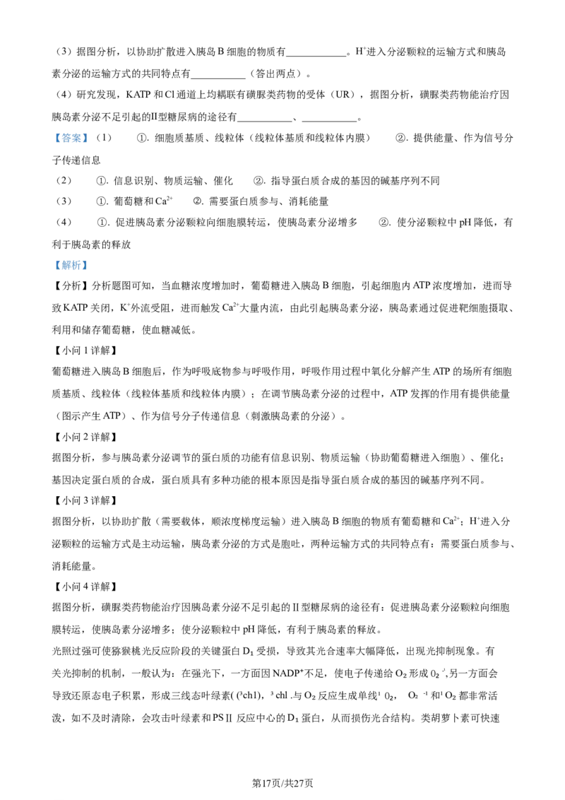 精品解析：2024届山东省潍坊市昌乐一中学高三模拟预测生物试题（解析版）_2024届山东省潍坊市昌乐一中学高三模拟预测_2024届山东省潍坊市昌乐一中学高三模拟预测生物