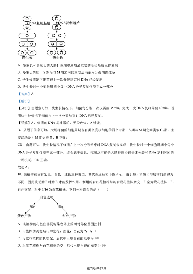 精品解析：2024届山东省潍坊市昌乐一中学高三模拟预测生物试题（解析版）_2024届山东省潍坊市昌乐一中学高三模拟预测_2024届山东省潍坊市昌乐一中学高三模拟预测生物