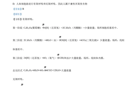 精品解析：2024届山东省潍坊市昌乐一中学高三模拟预测生物试题（解析版）_2024届山东省潍坊市昌乐一中学高三模拟预测_2024届山东省潍坊市昌乐一中学高三模拟预测生物