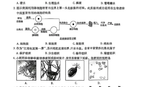 2025苏州中考生物真题及答案_2025全国各地《中考真题试卷及答案》_2025苏州中考真题及答案