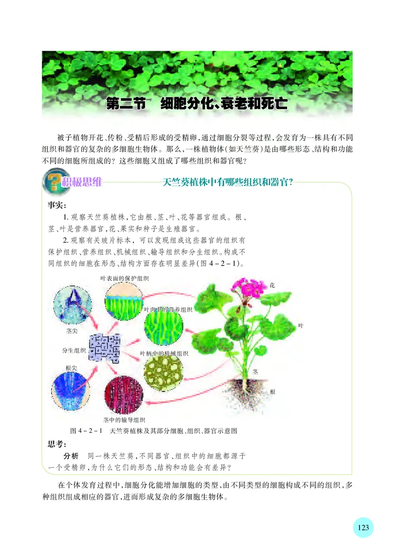 苏教版生物必修1高清教材_4-教培资料-26年最新资料-同步更新_初中高中教资_03科三专项（进去保存报考的学科即可）_02科三专项（笔记真题思维导图教学设计版本二）