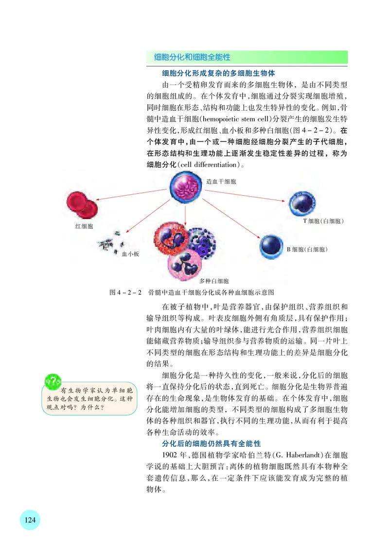 苏教版生物必修1高清教材_4-教培资料-26年最新资料-同步更新_初中高中教资_03科三专项（进去保存报考的学科即可）_02科三专项（笔记真题思维导图教学设计版本二）