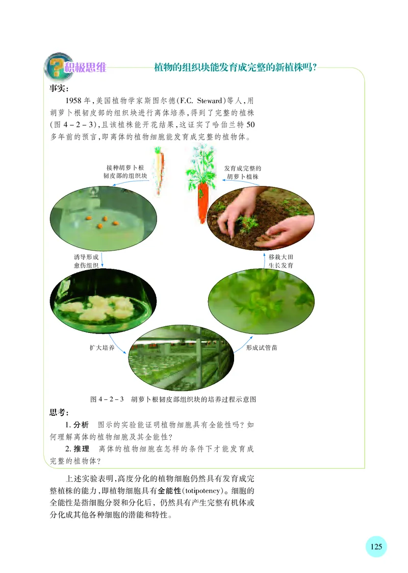 苏教版生物必修1高清教材_4-教培资料-26年最新资料-同步更新_初中高中教资_03科三专项（进去保存报考的学科即可）_02科三专项（笔记真题思维导图教学设计版本二）