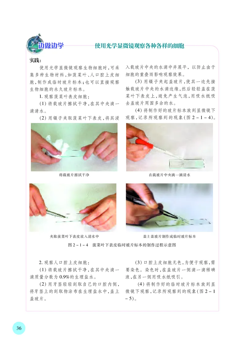 苏教版生物必修1高清教材_4-教培资料-26年最新资料-同步更新_初中高中教资_03科三专项（进去保存报考的学科即可）_02科三专项（笔记真题思维导图教学设计版本二）