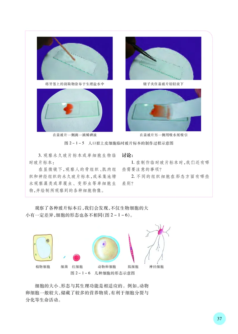 苏教版生物必修1高清教材_4-教培资料-26年最新资料-同步更新_初中高中教资_03科三专项（进去保存报考的学科即可）_02科三专项（笔记真题思维导图教学设计版本二）