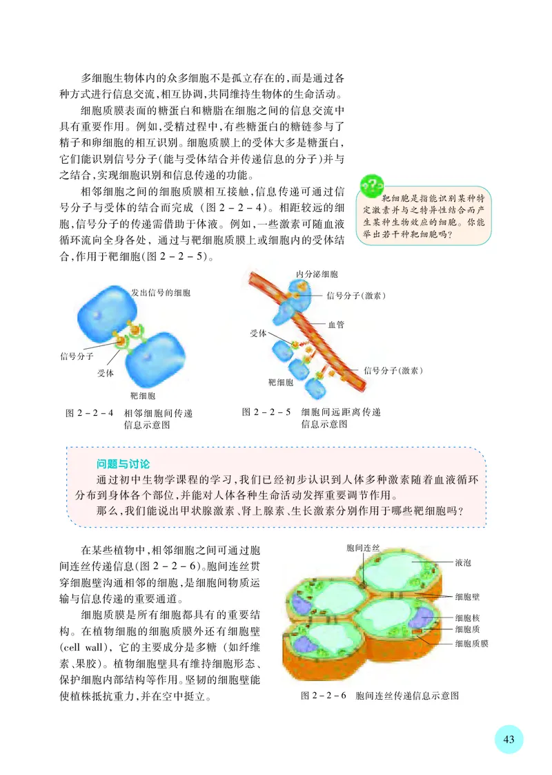 苏教版生物必修1高清教材_4-教培资料-26年最新资料-同步更新_初中高中教资_03科三专项（进去保存报考的学科即可）_02科三专项（笔记真题思维导图教学设计版本二）